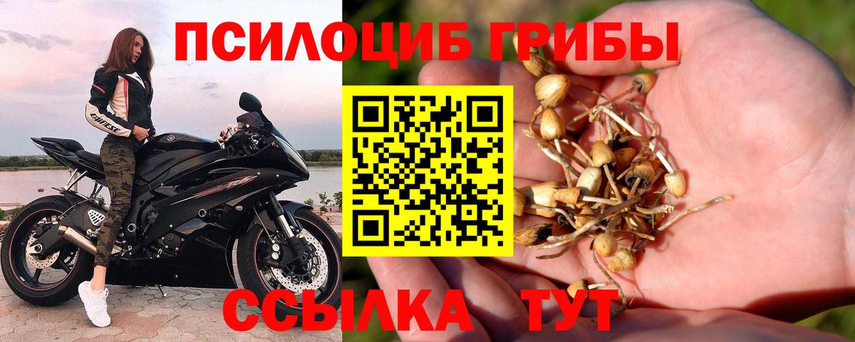 Михайловск  Псилоцибиновые грибы Magic Shrooms  Вход с VPN  Псилоцибиновые грибы GOLDEN TEACHER 