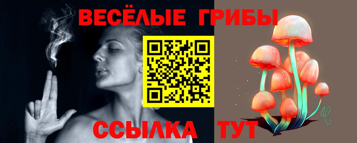 Галлюциногенные грибы GOLDEN TEACHER Михайловск